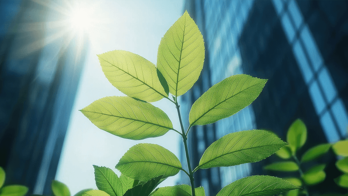 Green leaves in sunlight with modern glass buildings in the background, symbolizing sustainability in urban environments