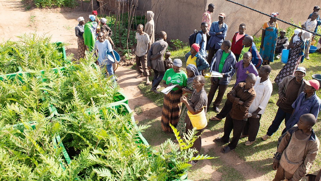A group of community members gather beside rows of potted plants outdoors.