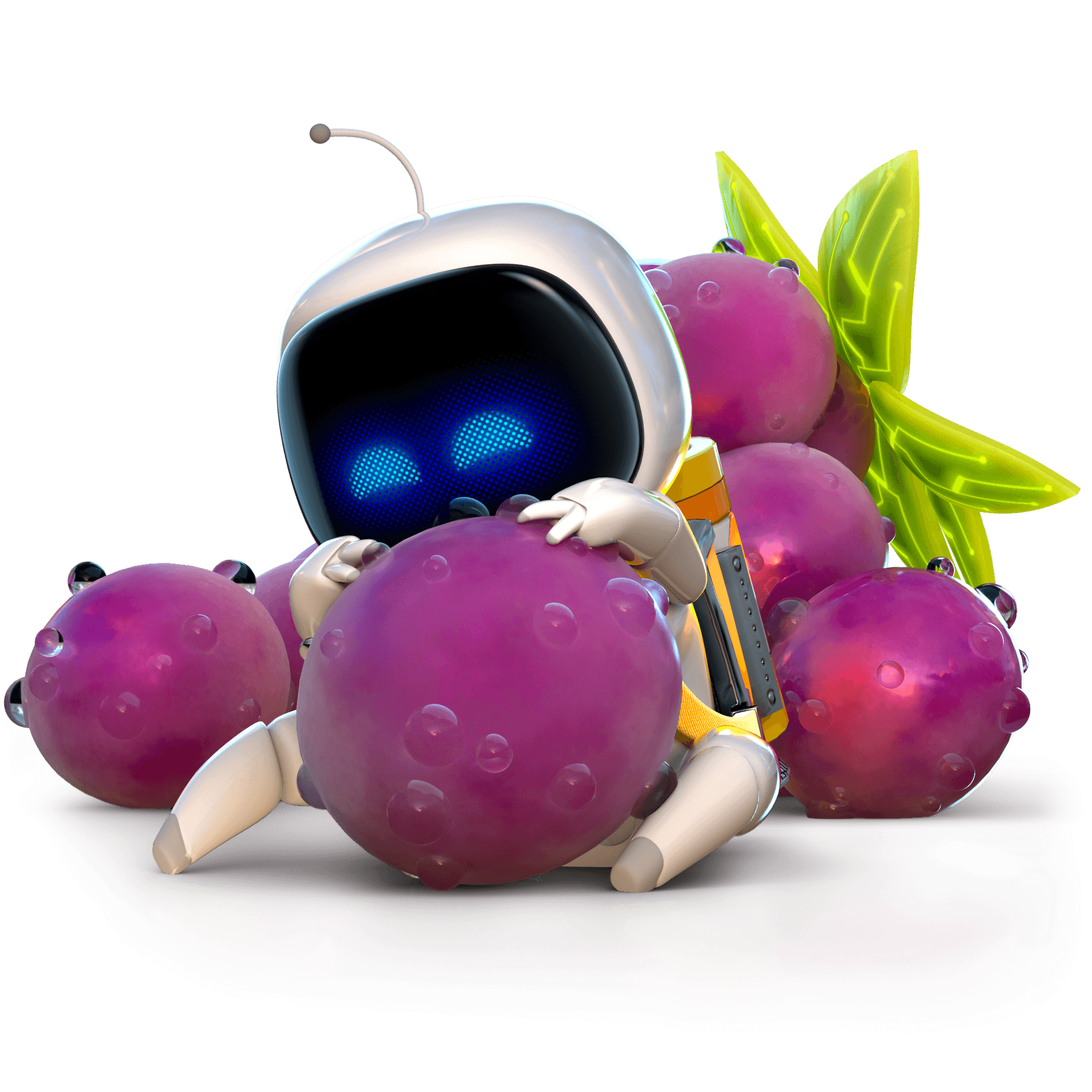 大きな紫色の木の実を抱きかかえるアストロボット