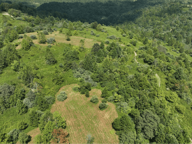 アパラチア山脈中部にあるGreen Forests Workの再植林プロジェクト拠点を上空から撮影した空撮風景。