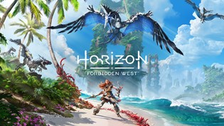 PS5 プレステ5 Horizon Forbidden West 同梱版 2台 playstation 5と専用ソフトがセットになった『PS5 “Horizon
